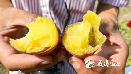 1元1斤！線上線下銷售火！威遠(yuǎn)秋季美味火爆上市！