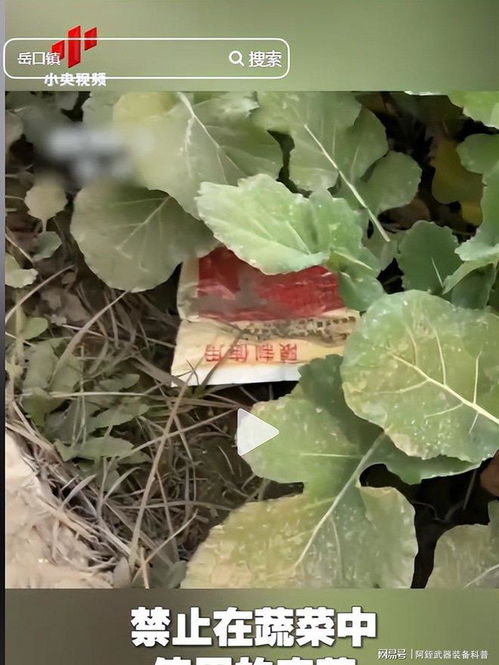 云南‘毒紅薯’事件升級(jí) 調(diào)查組介入深挖產(chǎn)業(yè)鏈，商戶‘主動(dòng)投毒’背后的黑幕浮出水面